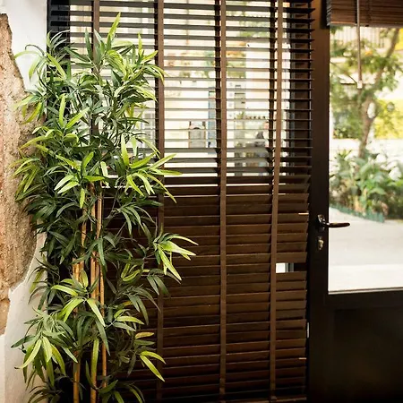 曼波探戈旅舍 旅馆